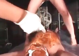 Few horny starlets in stockings having a threesome