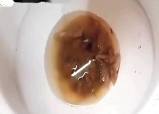 Shitting and filming just for your enjoyment